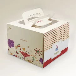 DPjet300z box printer