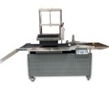 DPjet300z printer