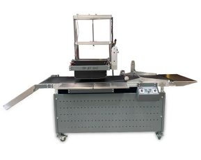 DPjet300z printer