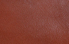 E200s Leather